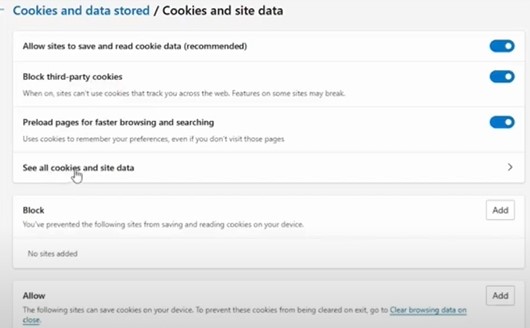 Click on See all Cookies and Site Data