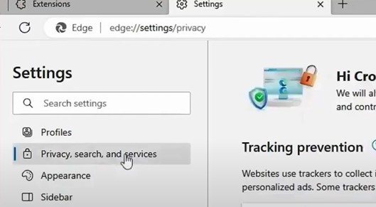 Click on Privacy, Search, and Services again