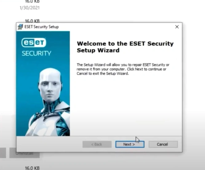 ESET Security Setup window pops up