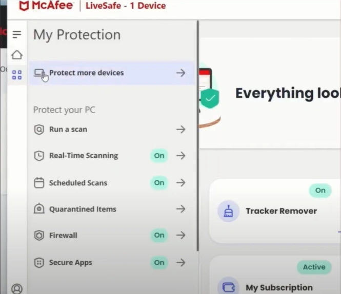 Select the My Protection option