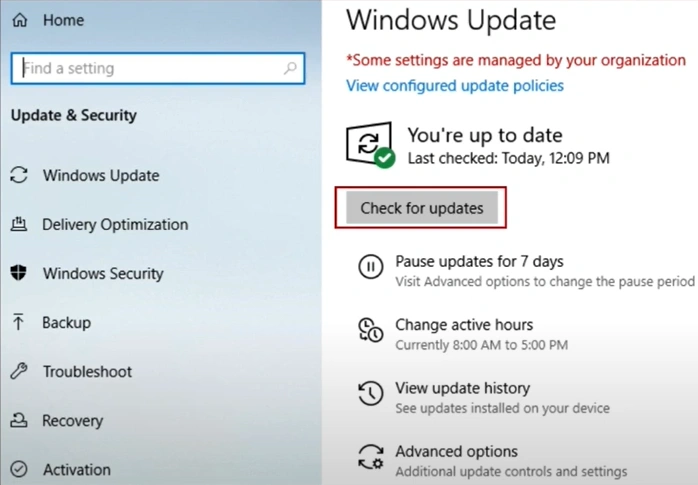 Next, click on Check for Updates
