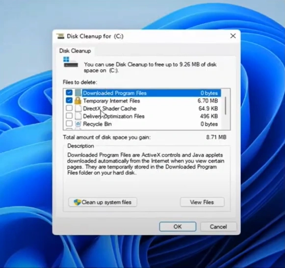 In the Disk Cleanup window